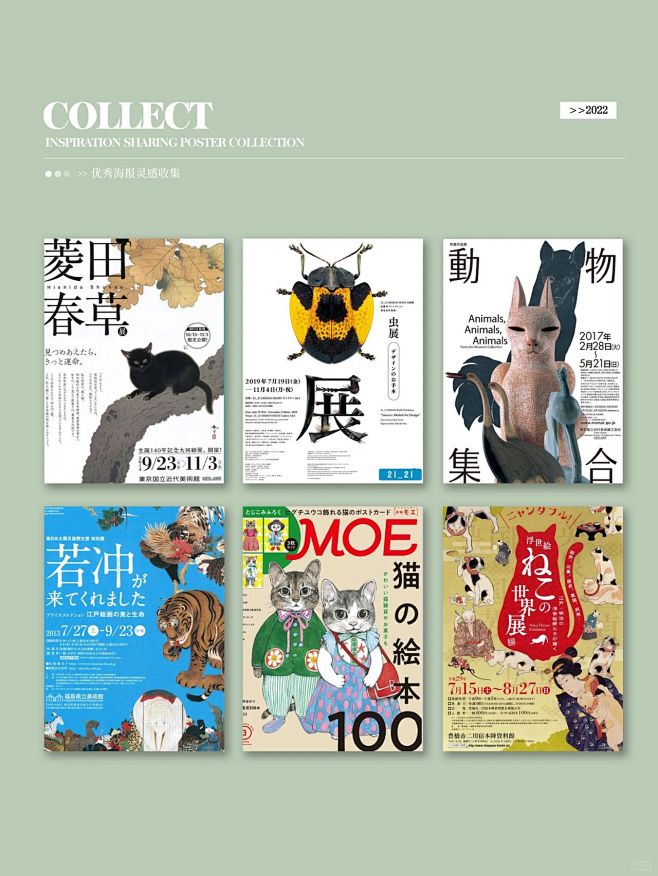 今日审美提升 动物合集海报SHARING