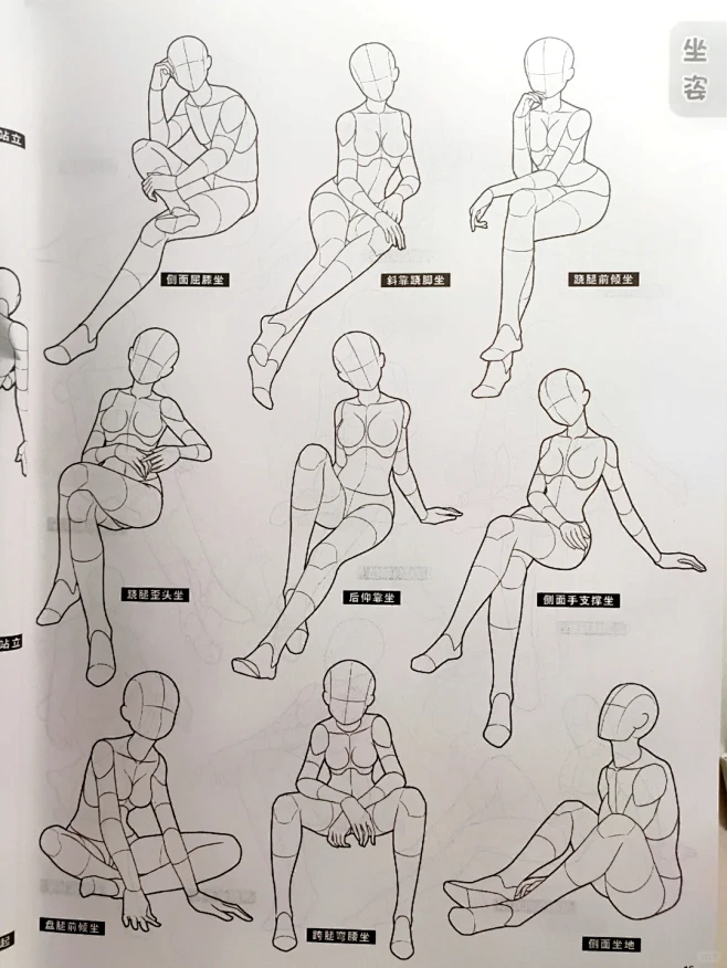 人体结构3——坐姿篇