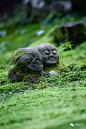 日本最美的园子 · 桂离宫 [热帖回顾]