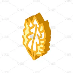 日本海带海藻等距图标矢量插图
