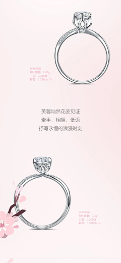 黄月眉百花蜂蜜出售采集到戒指