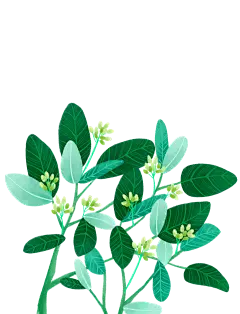 PNG高清免扣植物