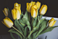 Close up of yellow tulip bouquet with green stems in Spring