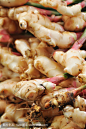 背景与许多姜根
background with lots of ginger roots