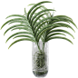 北欧植物-花艺盆栽绿色花瓶植物免抠素材透明png