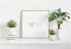 框架靠在白色搁板在明亮的内部与植物和