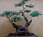 黄荆盆景_百度图片搜索