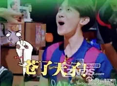 【当贝市场】《明星大侦探》常驻嘉宾表情包汇总-搜狐