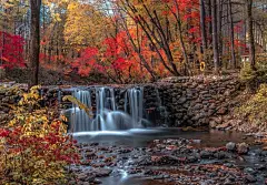 [kris带你云游花海】春来夏往，秋收冬藏，请收好这份四季“花海报表”,中国旅游攻略 - 马蜂窝