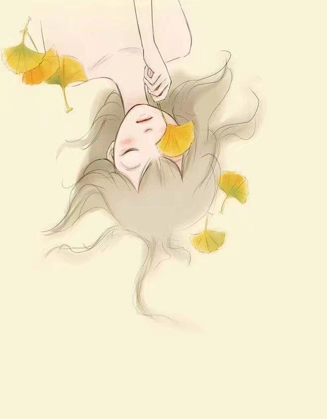 来自素锦底图素材
