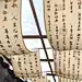 超有氛围感的天幕挂布，网红打卡出片