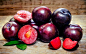 General 1920x1200 Plums (Fruits) fruit Prunus laurocerasus