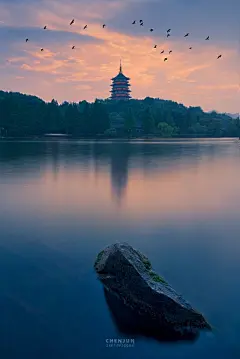 米拍日榜-米拍榜单