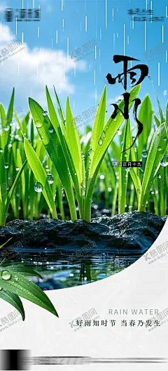 雨水 【酷图网】海报,地产,二十四节气,雨水,下雨,植物,发芽,
