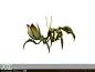 学生作品 螳螂 2
#CG# #动画# #游戏# #动作#
XRCG学院：http://blog.sina.com.cn/u/3925256497 