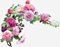 牡丹花花丛装饰