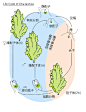 微博 – 随时随地发现新鲜事