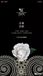 【作品】二十四节气之小暑——地产广告