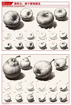 联考教案2.0素描静物横构图基础训练基础篇 2018尚读李征编 单个组合静物分析与塑造从入门到精通范画临摹范本联考校考美术正版书-tmall.com天猫