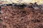 泥土,粘土,横截面,水,褐色,水平画幅,沙子,无人,十字形,页岩