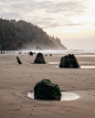 The types of places where dreams are thought up. // New blog post is up about Lincoln City, OR. Includes tips on some great nearby "hidden gem" spots to take photos (such as the spot pictured above). Link in bio!