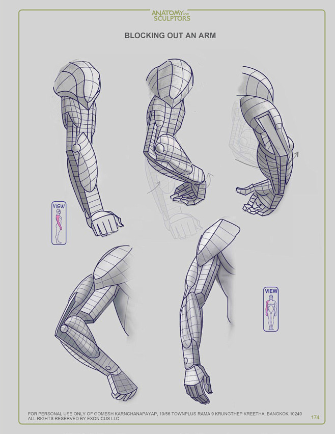 anatomy for sculptor...
