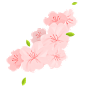 樱花-01
