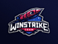 Winstrike team logo stellar rocket space hiwow gaming illustration design esports dlanid sport logotype identity mascot sports logo