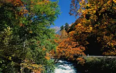 秋天的红叶美景桌面壁纸 