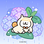 @线条小狗Maltese 的个人主页 - 微博