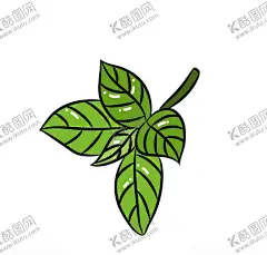 叶子 【酷图网】蔬菜,食物,海报素材,手绘叶子,叶子,薄荷叶,植物,树叶