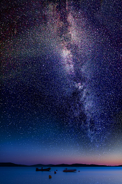 沐浴阳光的小猪采集到星空