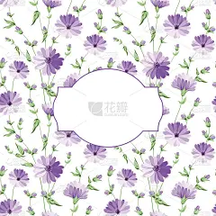 豪华的红牡丹。