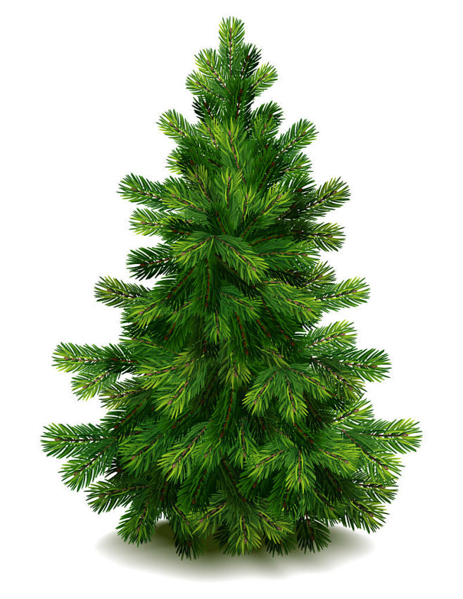 绿色圣诞树矢量素材