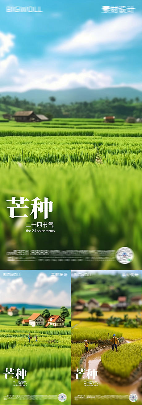 芒种节气海报-源文件