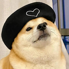 っ萝莉萌主采集到萌宠