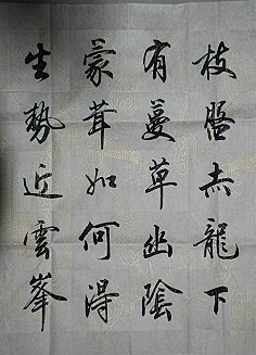 aoxcai采集到Z字