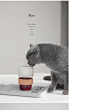 正品coffcup咖啡随行杯手冲咖啡杯创意礼品原创设计便携手冲神器-淘宝网