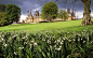 Waddesdon Manor Gardens, Buckinghamshire, England | Summer Snowflakes - Leucojum aestivum (17 of 30) | Flickr - Photo Sharing!