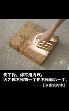 62赫兹的鲸采集到文字控