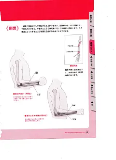 骨骼肌肉人体结构运动规律 (61).jpg