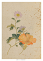 丨西园雅集丨的照片 - 微相册马荃 戊戌（1718年）作 花卉册 册页 （十二开） 设色纸本