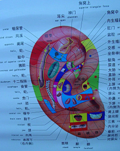 微笑的草莓采集到养生资料