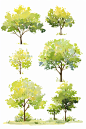 森林树木植物图案插图