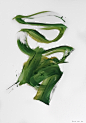 Behance 上的 Paintings - 2021 October - Green Selection (15)