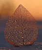 《雨·水》