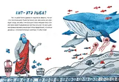 &quot;THE WHALE IS NOT A FISH&quot;-Illustration by Anna Fadeeva ​​​​