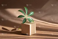 绿色的棕榈树树枝旁边的广场站米色特写。在棕色的背景上，从阳光下，阴影以条纹的形式落下来。3d平台的概