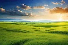 草原全景大草原蓝天白云摄影图