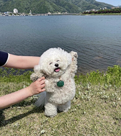 阿华田豆浆采集到可爱